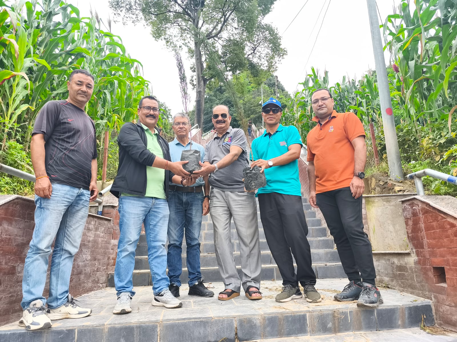 Tree Plantation Chapter 4