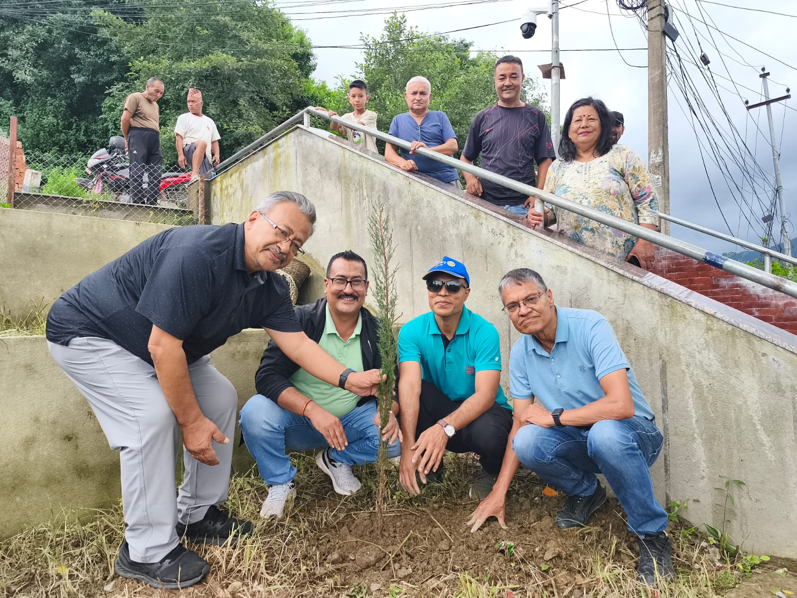 Tree Plantation Chapter 4